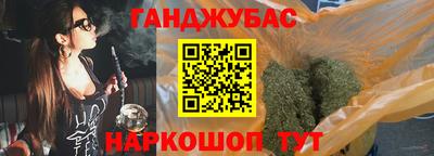 Альфа ПВП Ачхой-Мартан