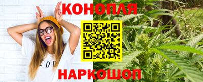 Альфа ПВП Ачхой-Мартан