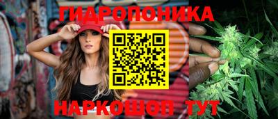 эйфоретик Аша